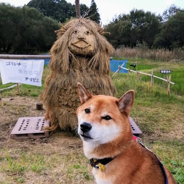 70157290 53d3 41aa a079 c7a5b2f66fd5 1603261461870