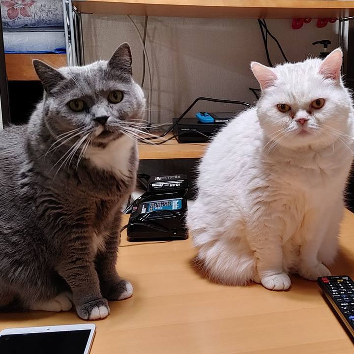 70162682 7424 4843 8a28 5151940cc7f7 1770889577684