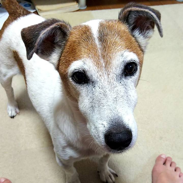 70162aaa 153c 42d4 b26b 86c9ad35ba00 1534290564639