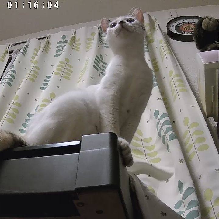 70164d0d 5743 475f 986c 199760f0a66f 1719138020000