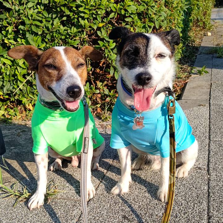 7016748a 751e 48f5 9d29 0076807190a9 1690325926418