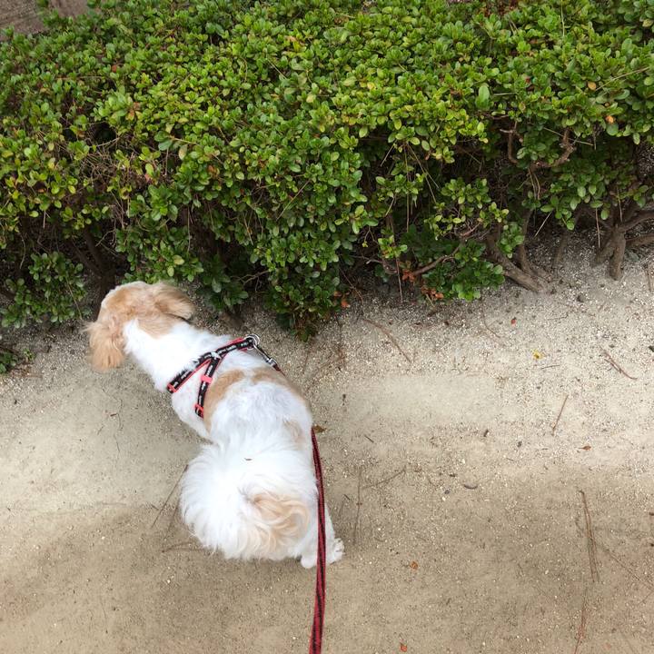 70168931 3056 462f afa0 0a3af452a107 1599515579405