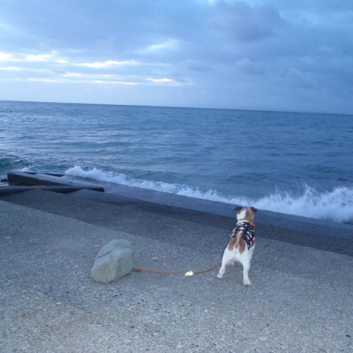 70168eae 3b39 41ad bf39 f02585262525 1514636544246