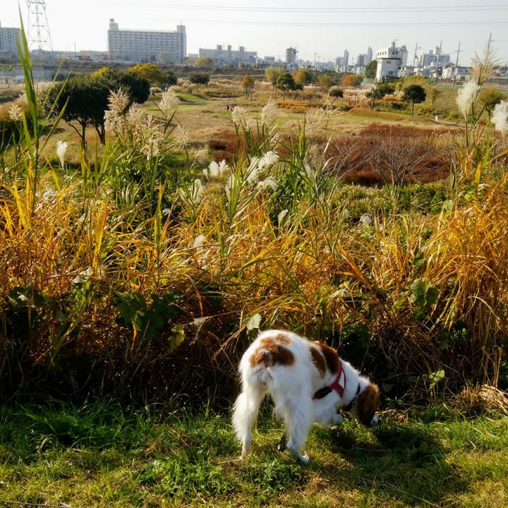 7016a937 b706 4161 b22c b283db6b5896 1543750190674