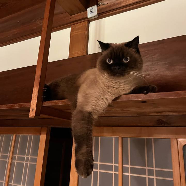 7016b231 ef69 4cef 86ce d4b28829e34e 1669452896444