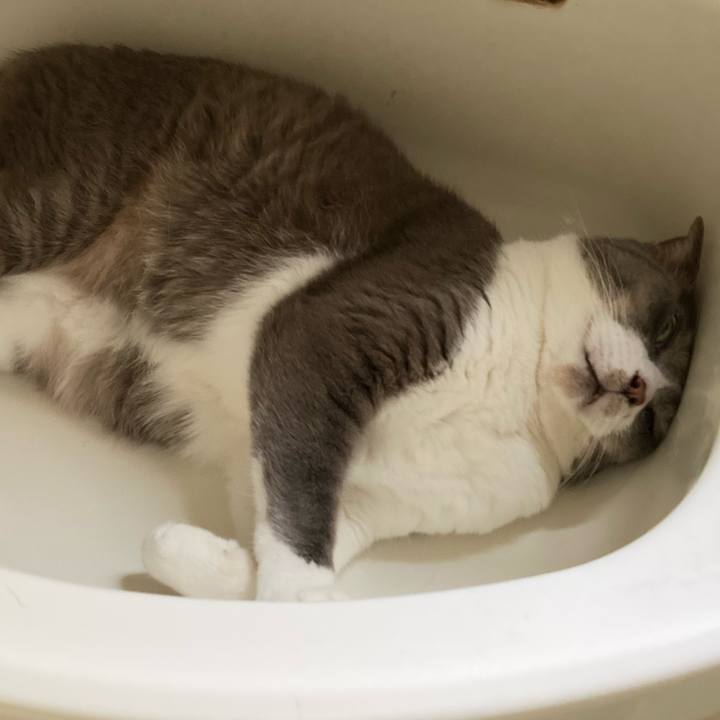 7016dd87 54aa 4d3d abf6 3723e984b89c 1721454413178