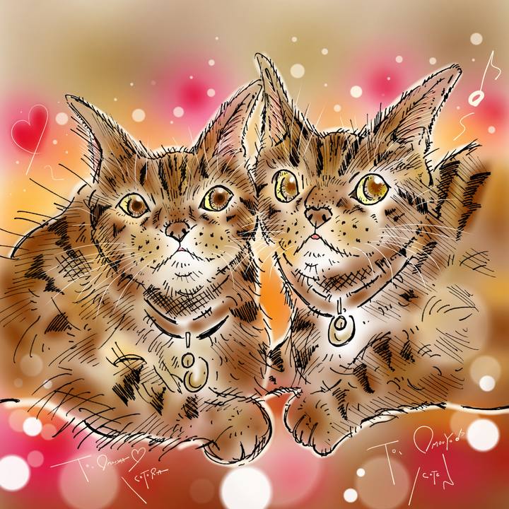 70172172 2dee 4b4c 9b48 f6b9527defbc 1646145449869