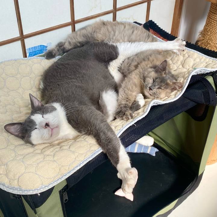 70175dd6 a524 42c9 9f6c 271bcca95481 1760255660015