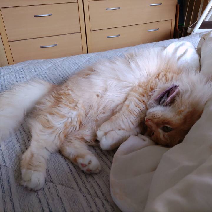 70178da1 0b97 470d 9b52 600ecbfb11ca 1720222306738