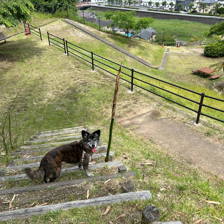 7017b1d5 925e 4169 9bc6 4459df7d2146 1718840432801