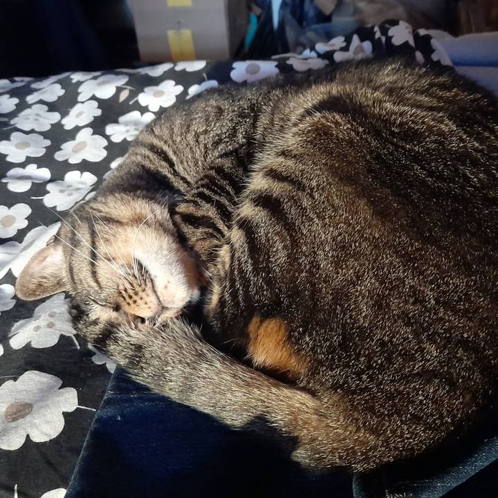 7017eac0 e69b 4417 8d17 a22e4e88926e 1762008173973