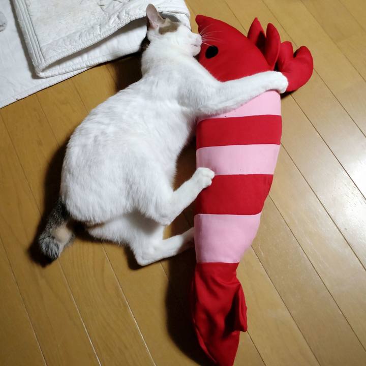 70180224 20e3 4870 88be 90c4ab79a8a7 1672731691623