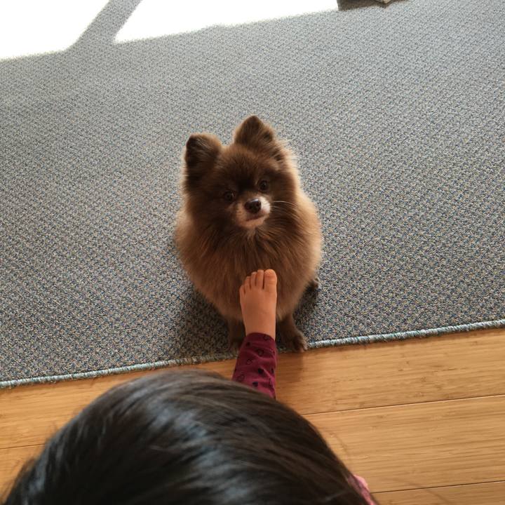 70186a6c 2d47 4e53 a7ad 48dd6d20eb9c 1510631216219