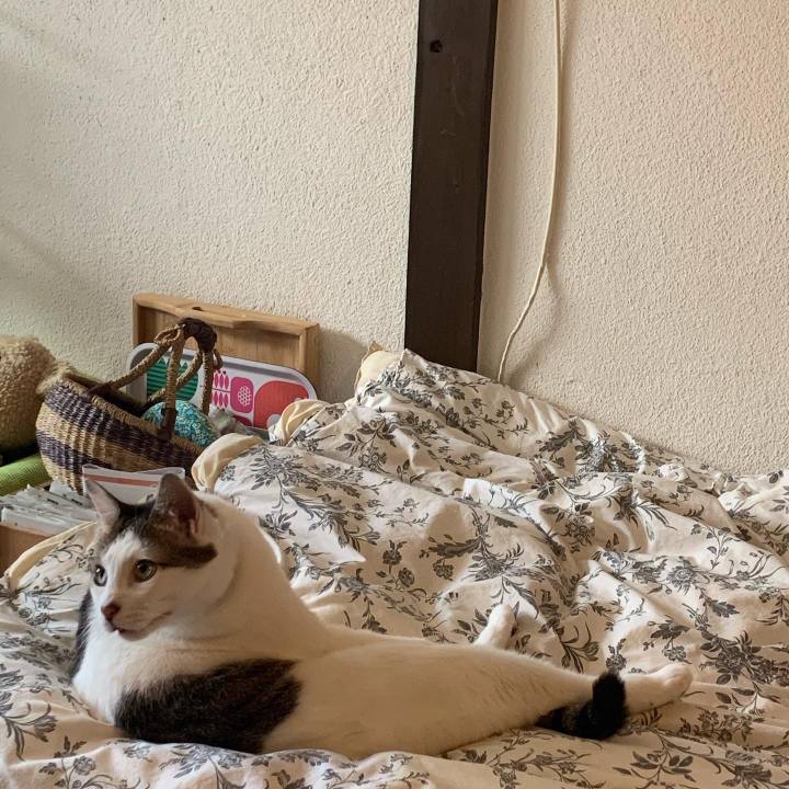 70187322 8753 43f9 89f4 1900a83184b4 1618930900183