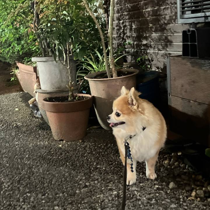 7018a04a ba03 4ea9 ade0 c260113d7287 1762094751773