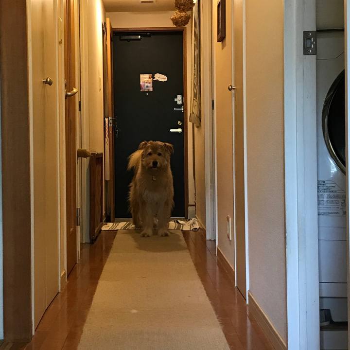 7018b1e0 2e64 4af8 b7db 4a48142ed1bb 1561606690391