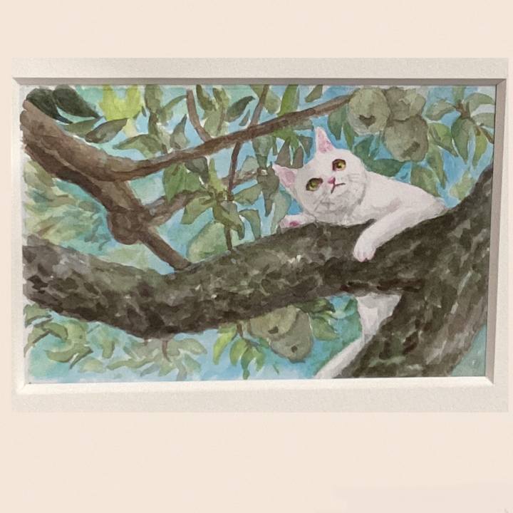 7018bd26 f75c 4d8d 88b5 34899d2cad8c 1686385041775