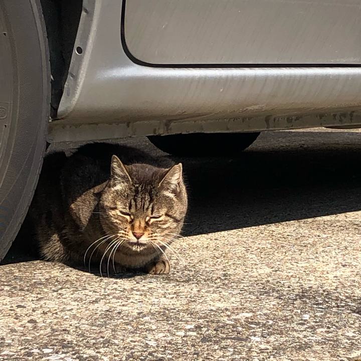 7018d7ca fb2d 4689 a8e9 7511e0665ff5 1551522955680