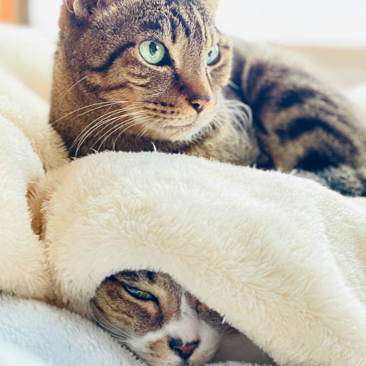 7018e6f1 df96 45d4 be57 ca91fde8afca 1608427130432