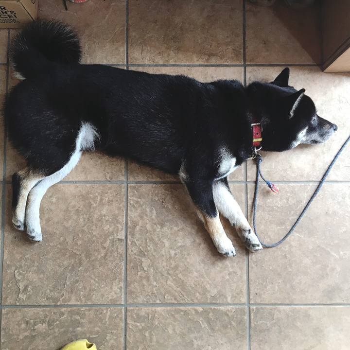 7018f41e 0ab6 472a 9659 476cf4026278 1561087763870