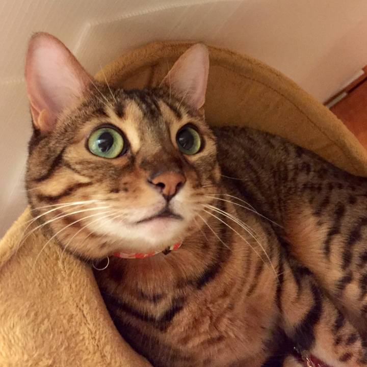 70192cf4 d3dd 4272 82c0 484ed4258366 1529120066067