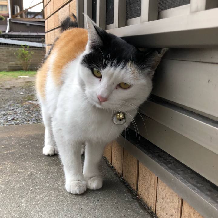 70197761 3c2d 4b37 ae16 f3b3deea55c7 1614339314424