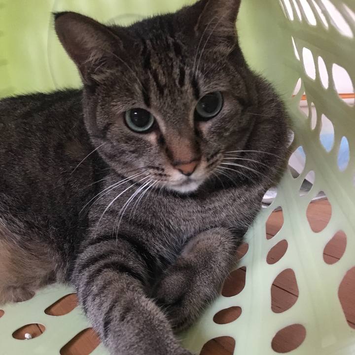 70199b9b ed90 4523 aace a8f3add65fbf 1530742952581