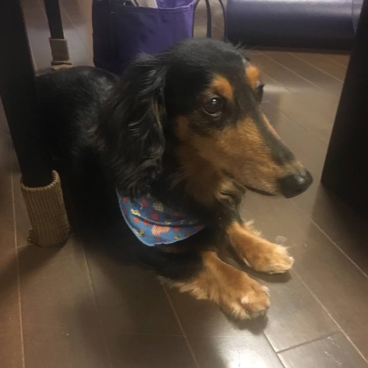 7019a89b a3c7 43a5 a825 25a90ea50f58 1521639102747