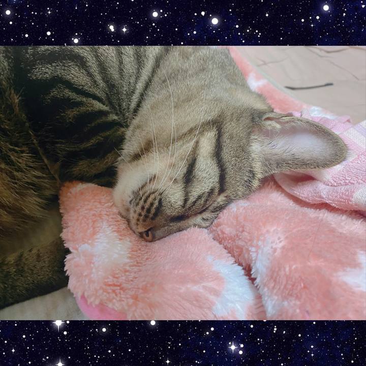 7019b228 ba5d 46b4 a7c7 435c92c5d448 1598849966043