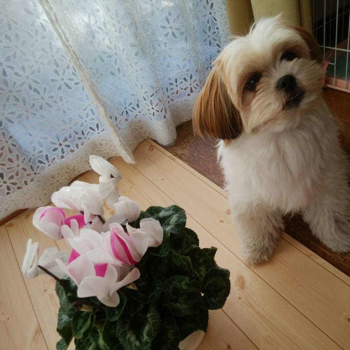 7019b92f 6386 489f a0c9 ad96ed2828f4 1512197113579