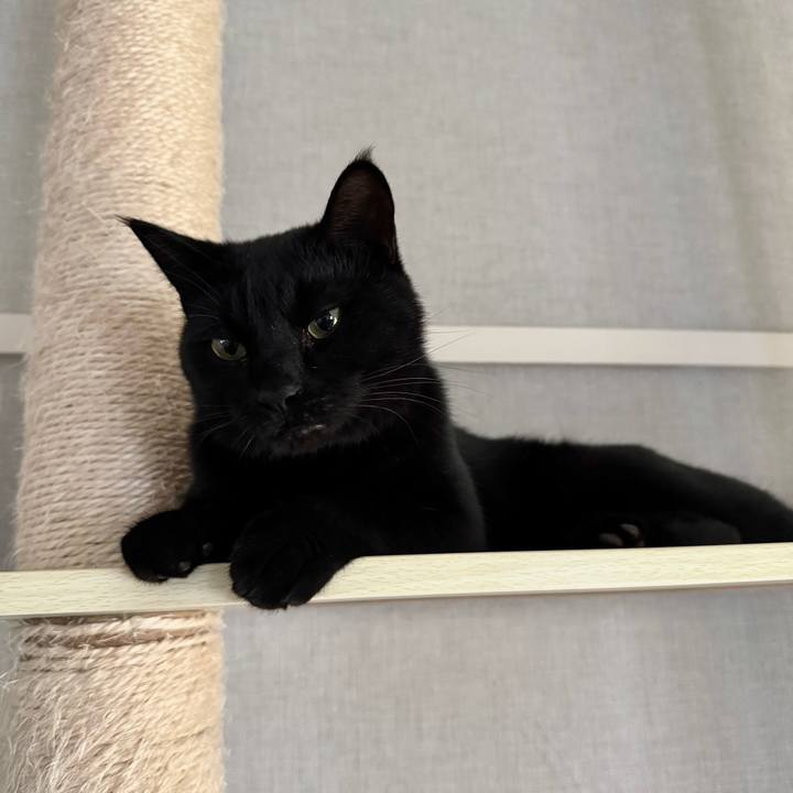 7019c613 d7d7 4243 b061 63e4bfc9928b 1763248445949