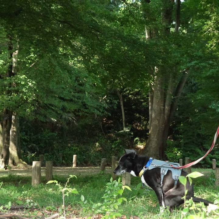 7019e13c 5a88 4e7d 860a ec52407665d0 1746320810643