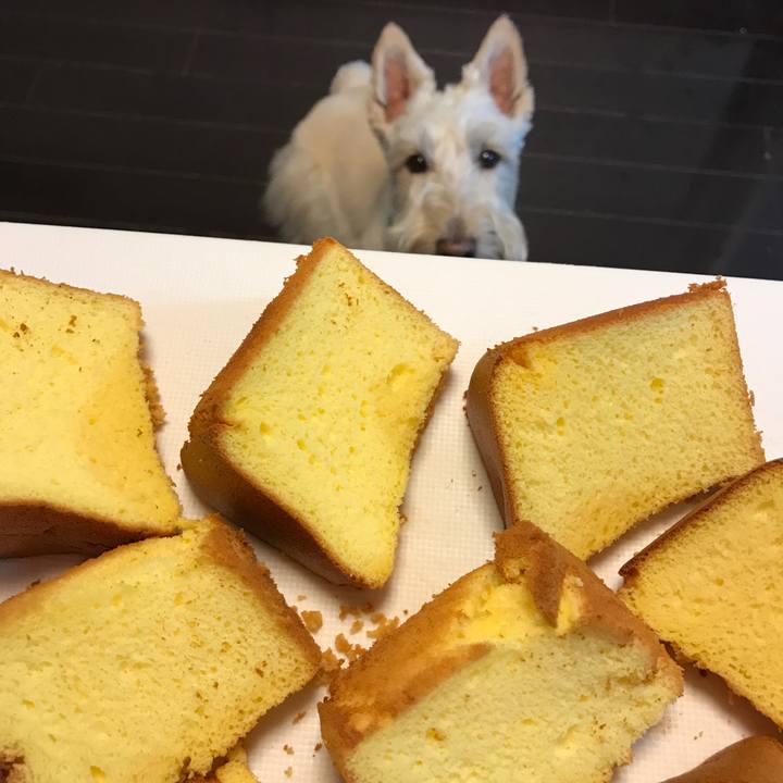 701a04e9 4090 4863 acee 80edc1b830e4 1524828653150