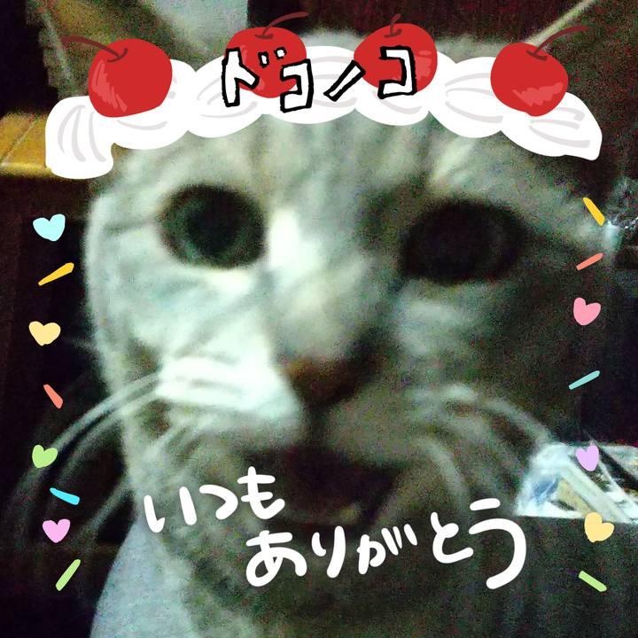 701a13ad 51e5 421b 85c1 5b75b7623429 1685970873590