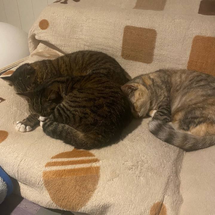 701a23a2 08db 4a44 bdb2 247d530e751d 1682978253089