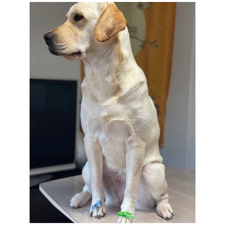 701a55a8 a823 48c3 b2e9 beeb786c0ae7 1656334902488