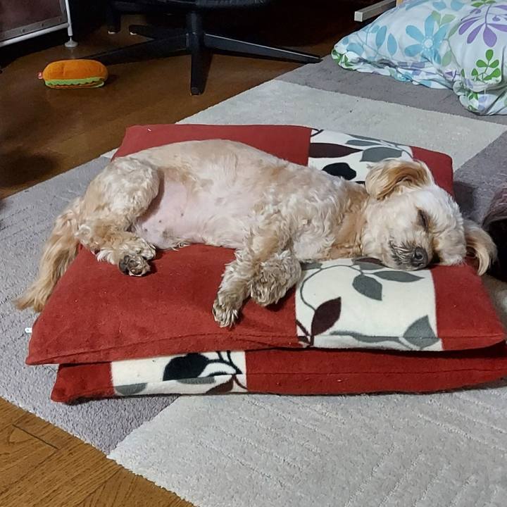 701a582c db62 4a80 83d2 f8caf376606b 1643769150572