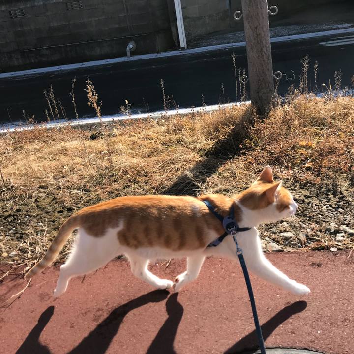 701a63a6 6608 4311 a0cc 696c3f1449de 1515642383052