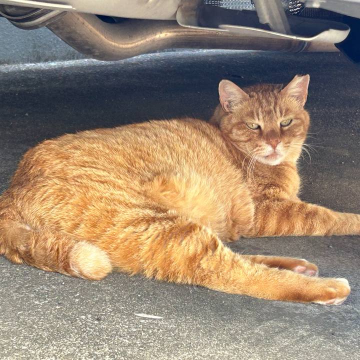 701a8841 c464 44c7 849e cd7febd90819 1683090964293