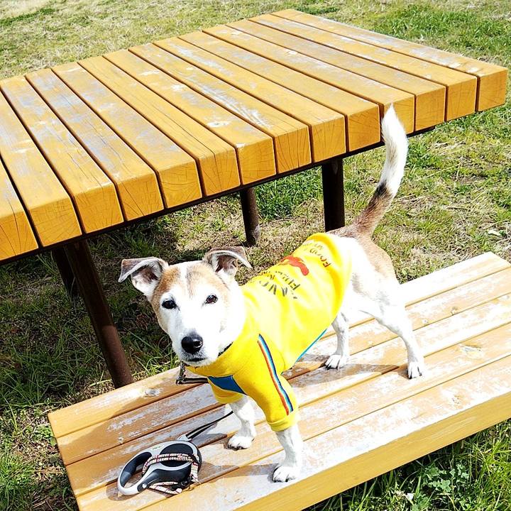 701a9617 4a9c 4a71 abd4 719bcea247b2 1582440329661