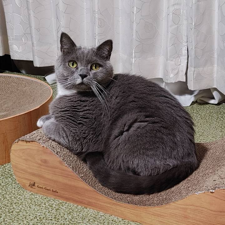 701a9748 0e6e 4067 abd7 19f6f8b82b3c 1668943861061