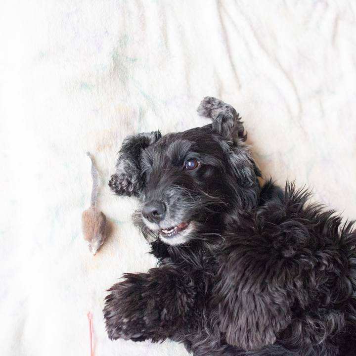 701aa2f3 a00b 46c9 b0d3 69e9b0a7c3fa 1553615191668