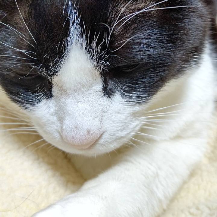 701b0241 a513 4963 a893 aadb0f0af4e1 1642770034896