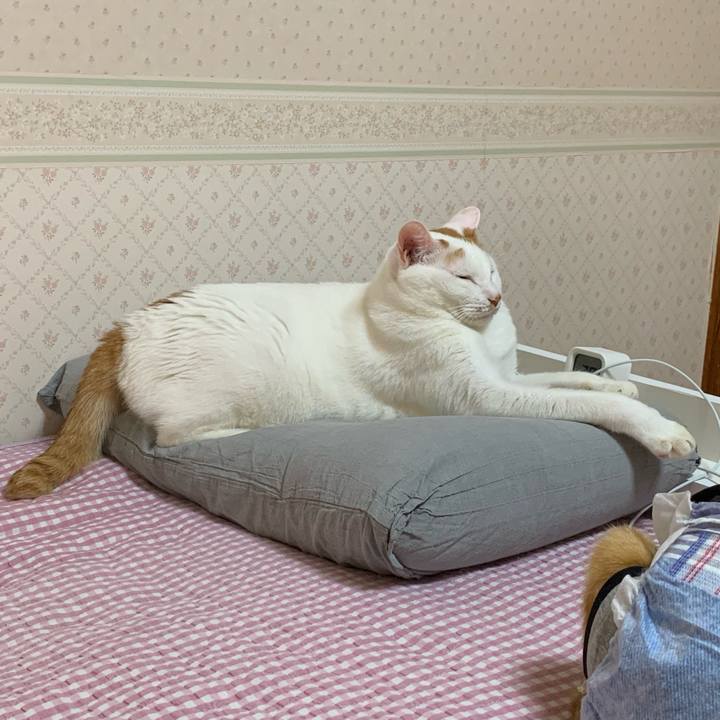 701b0623 632c 4692 ba26 f260c5784964 1634761438795