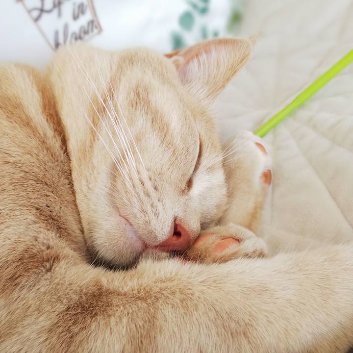 701b234d 1bfb 418d 9080 b537c93f9e65 1566618268887