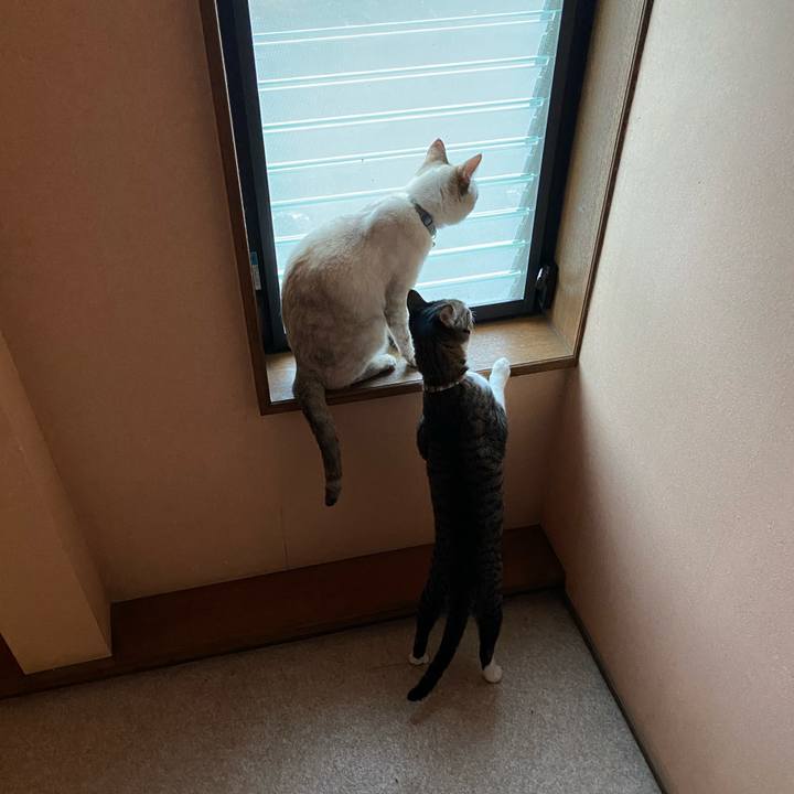 701b2b7e 7043 497b ae95 0118366bace0 1719309125998