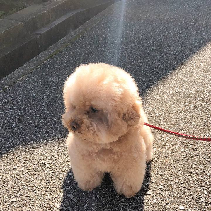 701b5082 9015 457b a271 98f22804f9e3 1512268712172