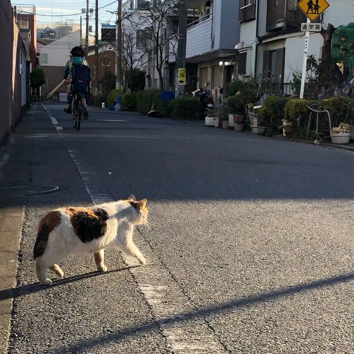 701b731d ff9c 46bb acf8 fb52d848c8d5 1547196149362