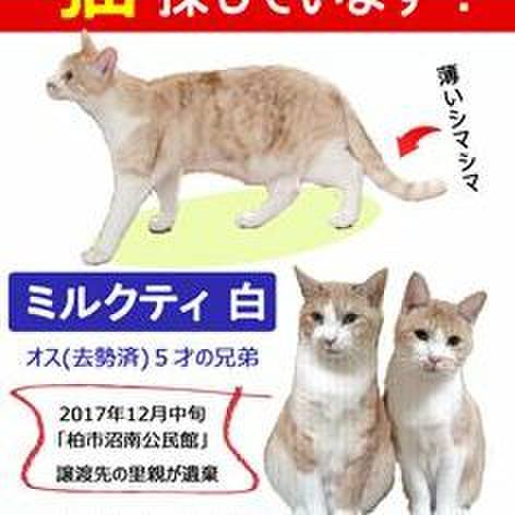 701bcce8 687a 4b06 8762 fa5f8fa9a7de 1537435931059