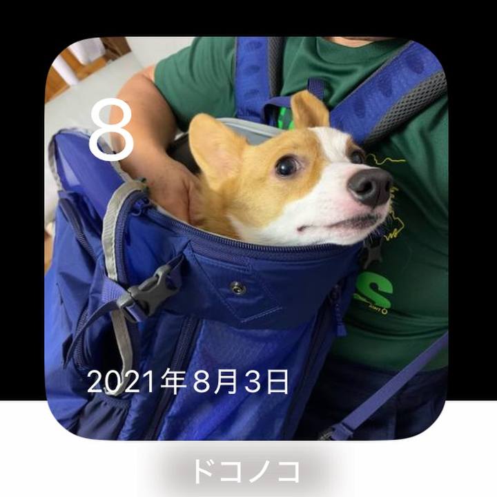 701bcf9d 0aa1 43cf a079 aeb63969981e 1754614020288